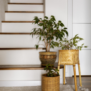 interior-design-with-stairs-plants