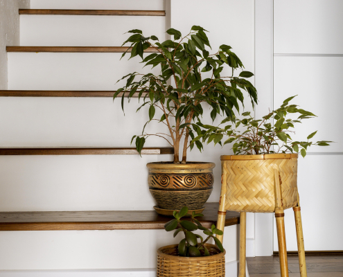 interior-design-with-stairs-plants